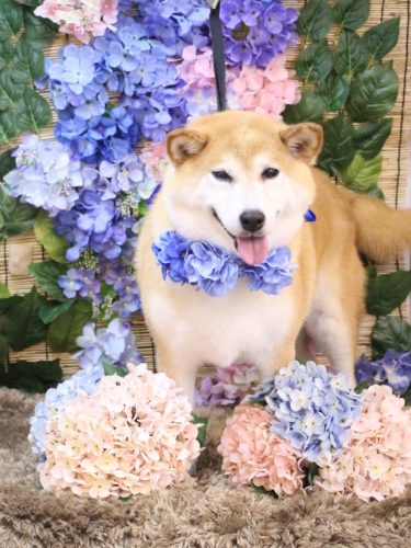 20250624平太くん